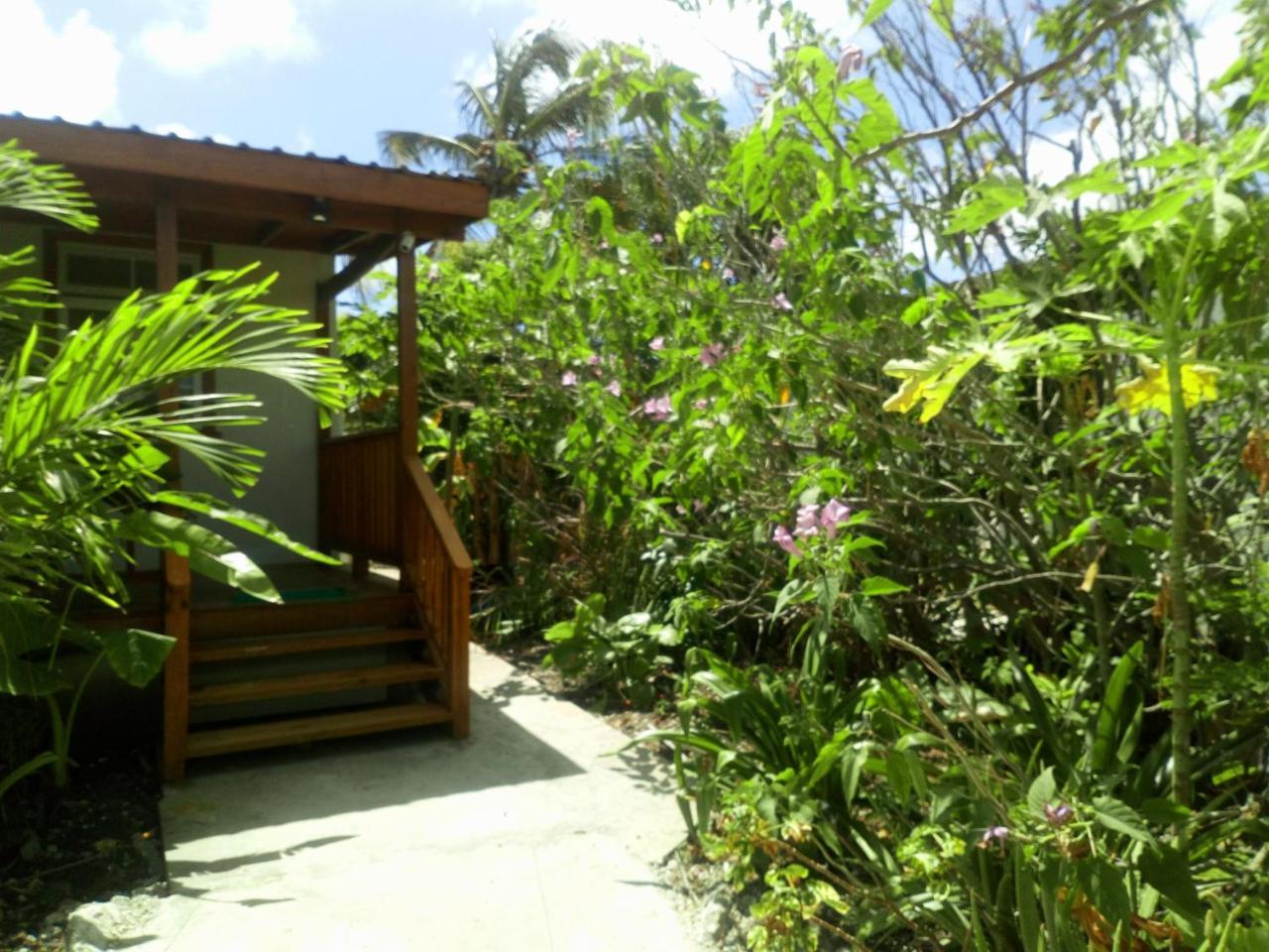 The Pool House Villa Saint Philip Exteriör bild